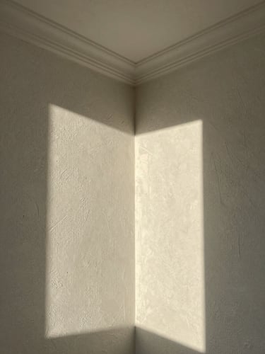 Close environmental shot of an interior wall junction where ceiling cornice meets a textured plaster wall, north-facing daylight skimming across the surface to reveal material depth and shadow relief, empty room corner showing proportion and craft