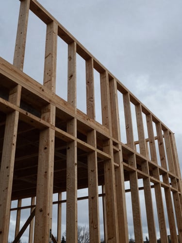 Low-angle heroic shot of a residential timber frame under construction, raw wooden beams silhouetted against a cold overcast Belleville morning sky, high-contrast industrial tones.