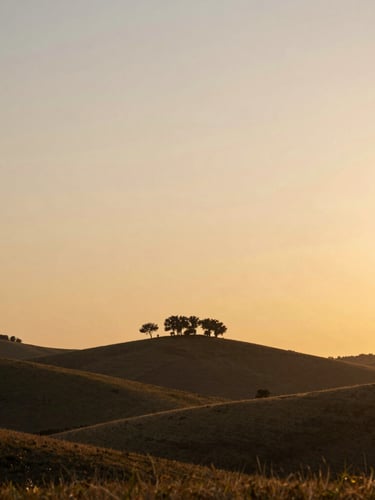 Wide environmental landscape of rolling hills at golden hour, silhouetted trees against a warm sunset sky, soft peaceful atmosphere, shallow depth of field