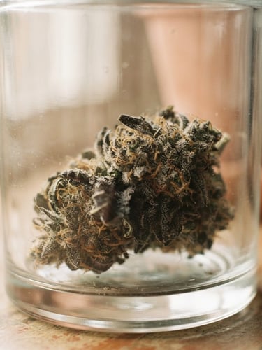 Macro close-up of a pristine, trichome-rich cannabis flower bud in an elegant minimalist glass jar, warm low-contrast lighting, soft natural window light, 35mm