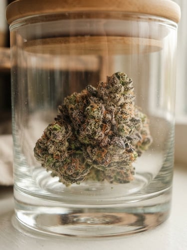 Macro close-up of pristine, trichome-rich cannabis flower resting inside an elegant heavy glass jar, soft natural window light, warm editorial style, 35mm