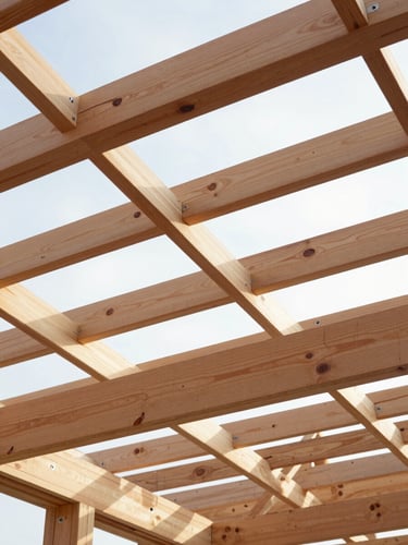 Low-angle architectural shot of a newly constructed timber roof frame, warm wood beams against a bright morning sky, sharp textures of wood grain, 35mm lens