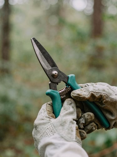 Close-up of strong hands wearing protective leather work gloves, holding a pair of clean garden shears, soft natural morning light, grounding forest green tones in the background, authentic documentary style