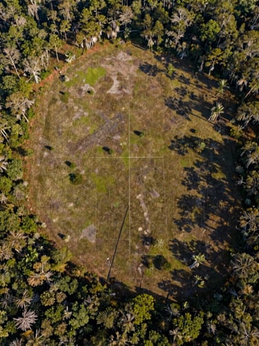 Top-down orthomosaic aerial drone photography of raw Central Florida pine flatwoods and parcel boundaries, crisp morning light, high-clarity view showing land topography and transitional zoning edges.