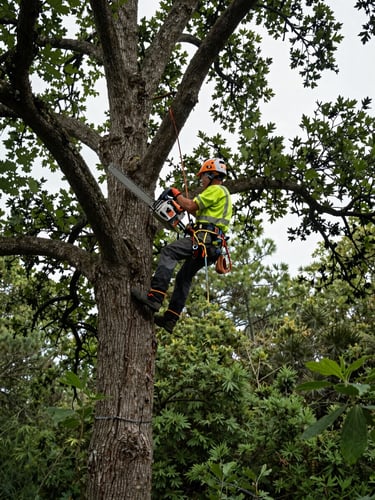 Low-angle shot of a certified arborist in high-visibility safety rigging climbing a mature oak tree under overcast daylight, holding a professional chainsaw, deep forest greens, 35mm