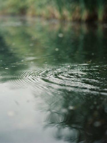 Macro photograph of gentle ripples on calm water, soft diffused morning light, muted sage and forest green tones, shallow depth of field