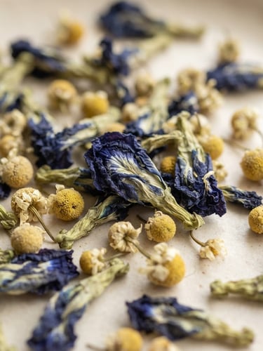 Close-up macro shot of dried blue pea flowers and whole chamomile buds on a soft ivory surface, elegant editorial photography, soft natural window light, muted ivory tones with vibrant botanical accents, shallow depth of field