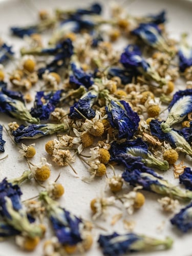 Close-up macro shot of vibrant dried chamomile and blue pea flowers on a clean ivory surface, soft natural window light with gentle shadows.