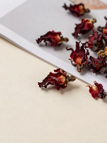 Overhead flat-lay of dried red hibiscus flowers next to a minimalist editorial magazine on an ivory surface, soft natural shadows.