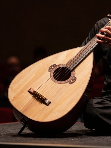 Close overhead framing of an Oud resting on a low stage, warm amber stage lighting raking across the instrument's body, a performer's hands positioned at the strings, deep charcoal background with a blurred audience silhouette in the far distance