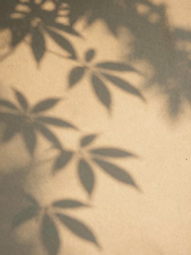 Soft shadow play of leaves on a warm sandy wall, diffused golden hour sunlight, organic textures, calm and reflective atmosphere, editorial photography.