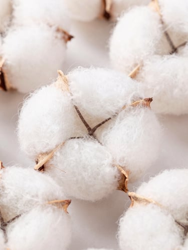 Macro texture shot of woven organic cotton fibers, soft natural daylight, shallow depth of field, clean white and pastel pink tones
