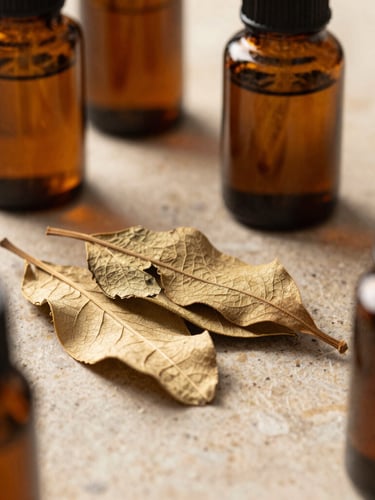 Macro shot of raw dried botanical leaves and amber glass jars on a warm stone surface under soft, diffused north-facing daylight.