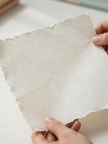 Close-up of hands holding a thick sheet of deckled-edge cotton paper in a sunlit studio, soft shadows, raw artistic atmosphere