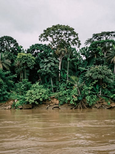 Wide environmental landscape of Mimika forest and river, soft overcast daylight, documentary photography, rich earthy greens, deep soil tones, cinematic film look