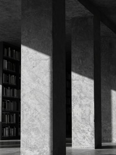 Stark architectural detail of a modern library, concrete pillars casting deep linear shadows, high-contrast black and white photography, moody natural light.