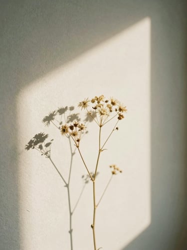 Sunlight casting soft shadows of dried wildflowers on a warm plaster wall, muted sage and cream tones, editorial photography, shallow depth of field