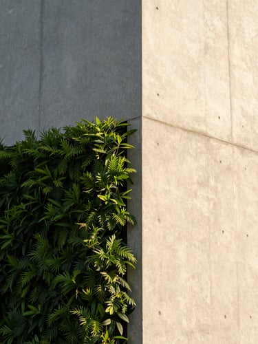 Close-up architectural shot of a modern concrete wall joint integrated with flawless vertical green foliage, dramatic golden hour side-lighting, clean lines, high-end landscape execution.