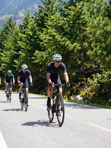 Low-angle action shot of smiling cyclists riding on a scenic paved mountain road under bright morning sun, vibrant green pine trees in background