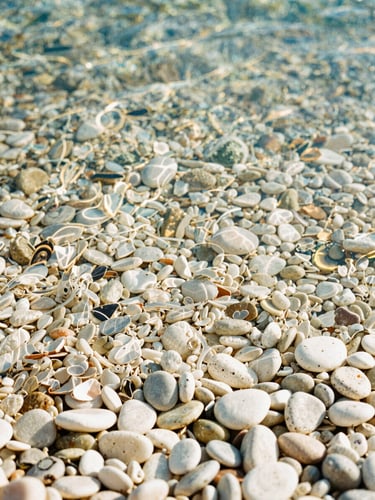 Close-up of crystal-clear Adriatic water washing over smooth white pebbles, bright daylight, natural coastal aesthetic