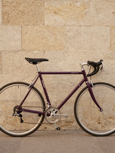 A beautifully restored vintage road bicycle standing against a textured Bordeaux stone wall, soft warm afternoon light, 35mm