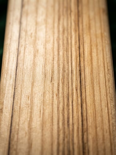 Tight macro studio shot of premium English willow cricket bat grain, deep forest green accent background, sharp details, high-contrast lighting