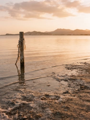 Quiet landscape of the Mar Menor lagoon at golden hour, gentle ripples on salt-crusted shore, soft warm backlighting, 35mm film texture