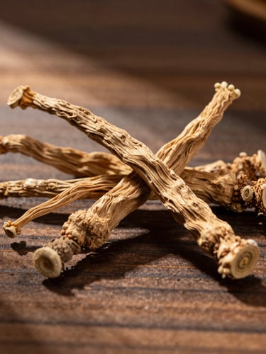 Macro shot of dried botanical roots and sacred herbs resting on a dark wood table, soft warm light filtering from the side, creating long shadows