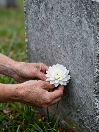 Close-up of weathered hands gently placing a single white flower against a grey stone grave marker, overcast natural light, rainwater visible on the stone surface, muted greens of grass at the base
