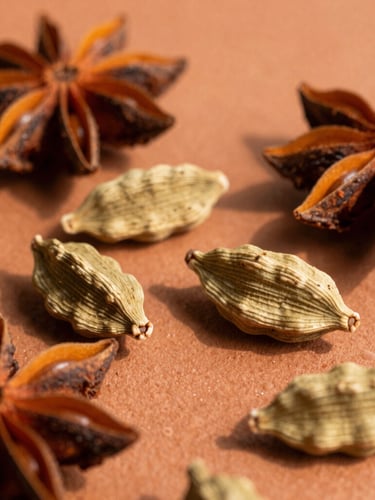 Macro close-up of whole cardamom pods and star anise scattered on a warm terracotta clay background, soft directional afternoon sunlight casting deep shadows, 35mm photography