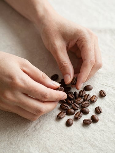 Close-up of hands gently sorting roasted coffee beans on a textured linen surface, soft diffused side light, warm organic tones, calm and reflective atmosphere, 35mm lens.