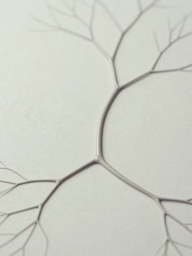An elegant, abstract anatomical rendering showing a clean neural pathway, desaturated tones, clinical editorial style, 35mm