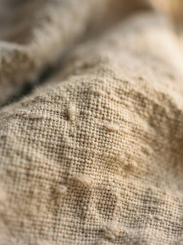 Close-up of premium organic cotton fabric texture, warm soft afternoon sunlight, shallow depth of field, 35mm film look