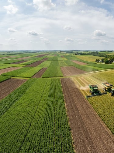 Wide panoramic view of vast, neatly patterned crop fields under bright natural daylight, modern harvesting machinery in the distance on the right third, rich soil tones and vibrant green crops, wide-angle lens.