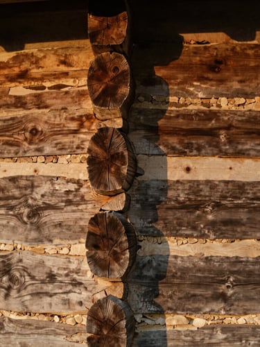 Tactile close-up of weathered 1800s log cabin exterior wall, showing broadaxe marks and historic chinking, warm natural wood textures