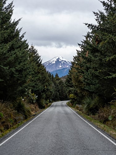 Wide environmental shot of a narrow paved road winding through southern Chilean lake district landscape, dense forest on both sides, a distant snow-capped volcano visible on the horizon, overcast natural light, no vehicles or people, shot from road level looking ahead into the curve