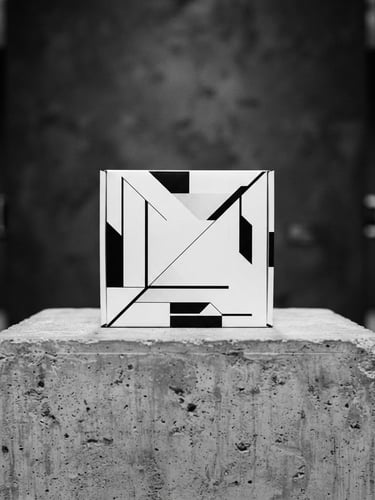 Straight-on, high-contrast studio mockup of a minimalist black and white packaging box on a raw concrete pedestal, soft museum lighting, sharp focus