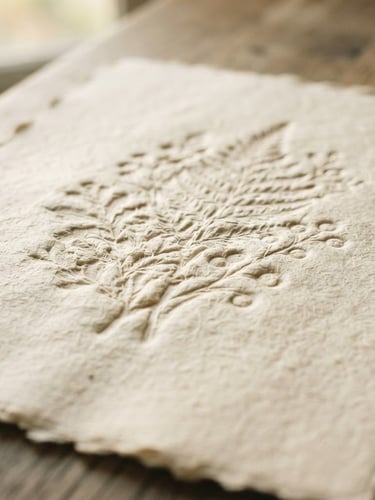Macro shot of heavy tactile cotton paper with deep debossed typography, soft natural window light casting organic shadows, warm editorial photography