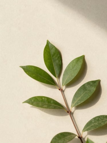 Minimalist macro shot of soft morning sunlight casting shadows of green leaves on a warm cream concrete wall, clean editorial aesthetic, low contrast