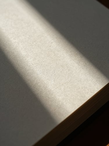 Macro shot of textured book paper, natural harsh sunlight casting sharp shadows across the grain of the page