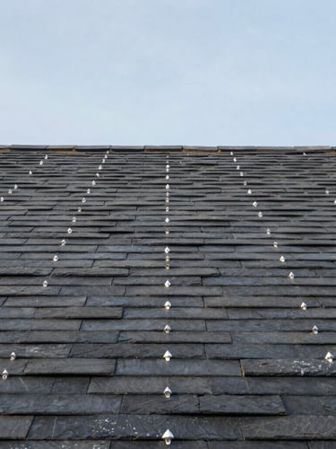 Low-angle architectural photograph of a perfectly aligned slate roof with hand-shaped zinc joints against a crisp morning sky, clean lines, sharp focus, 35mm