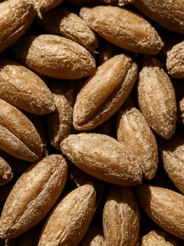 Extreme close-up macro shot of raw golden wheat grains under harsh high-contrast midday sun, emphasizing physical texture and dust, desaturated earth tones.