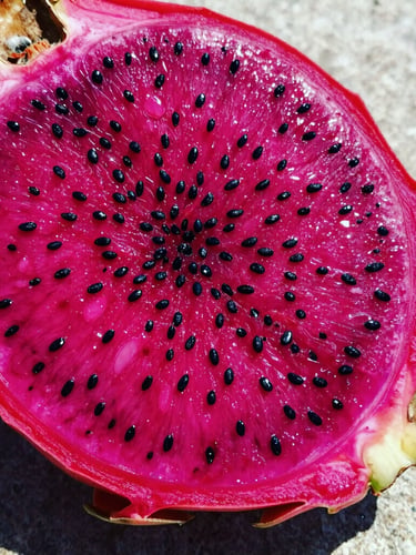 Macro close-up of a sliced red dragon fruit showing vibrant pink flesh and tiny black seeds, glistening with moisture on a neutral stone surface under high-contrast sunlight.