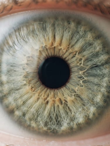 Macro photograph of a human iris showing detailed fibers and patterns, soft natural morning light, muted sage green and warm sand tones, shallow depth of field, 35mm