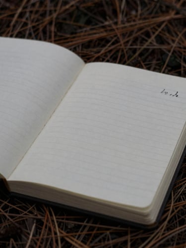 A close-up of an open, handwritten field notebook lying on a bed of dark pine needles, overcast natural light, desaturated grey tones, 35mm