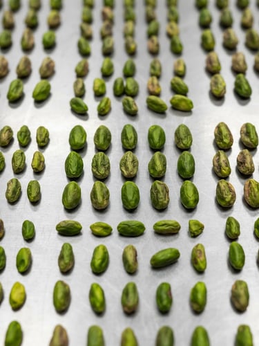 Macro close-up of graded green pistachio kernels arranged on a clean stainless steel testing surface, clinical studio lighting, sharp focus