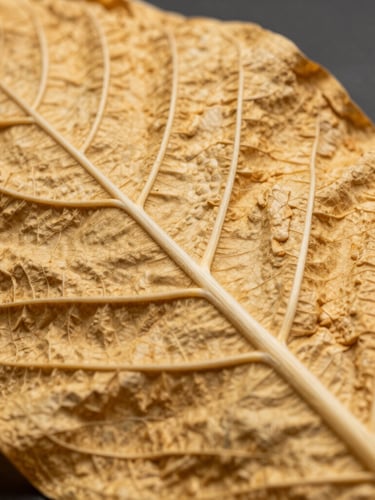 Extreme macro shot of raw, golden-brown tobacco leaves showing detailed vein structure and texture, high-contrast industrial lighting