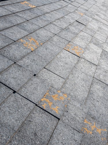 Close-up macro photography of flawless shingle alignment on a newly installed slate-gray roof, bright midday sun highlighting the clean architectural lines