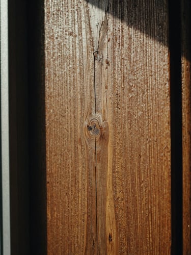 Tight macro shot of weathered wood grain with deep directional shadows, raw tactile timber textures, 35mm film