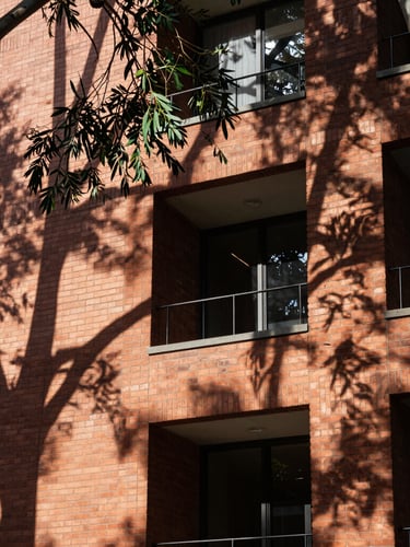 Modern Brisbane architectural brickwork, sharp geometric lines, dappled light filtering through eucalyptus leaves.